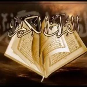 Meet your Posher, Ahmad